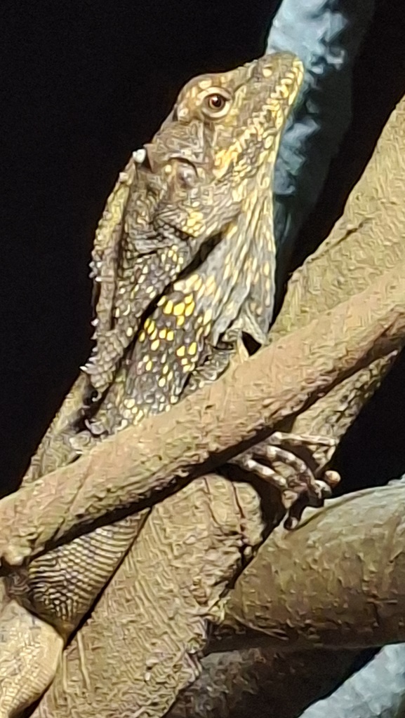 20250920 115337 (Copy)